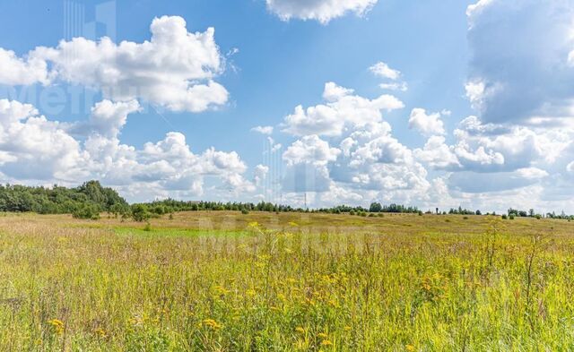 коттеджный пос. Ренессанс Парк, Красногорск фото