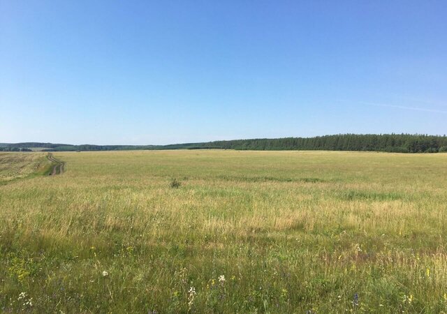 ул Ленинская Никольск фото