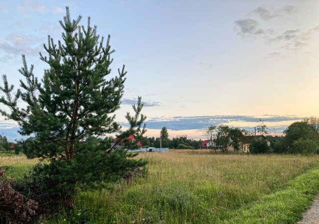 ул Садовая Любанское городское поселение фото