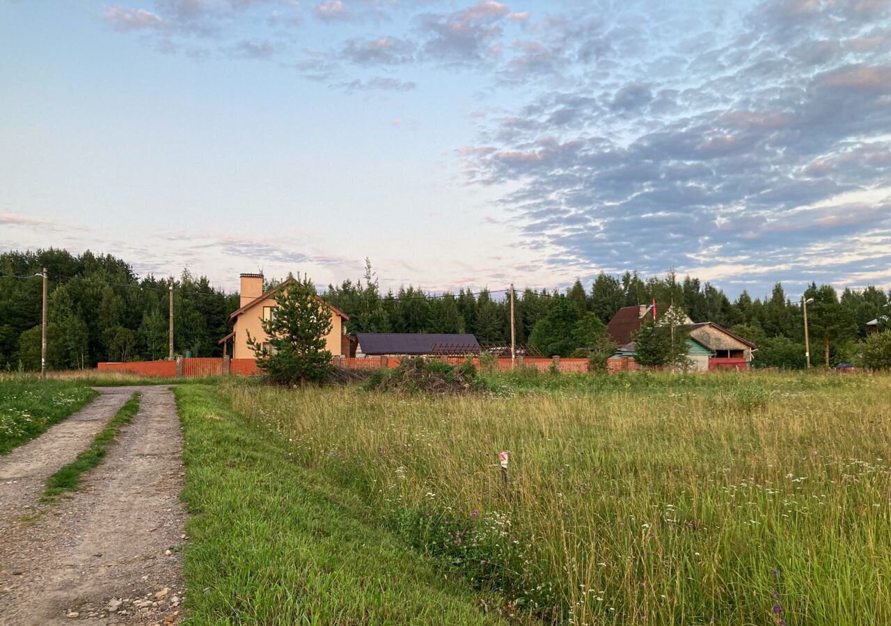 земля р-н Тосненский г Любань ул Садовая Любанское городское поселение фото 2