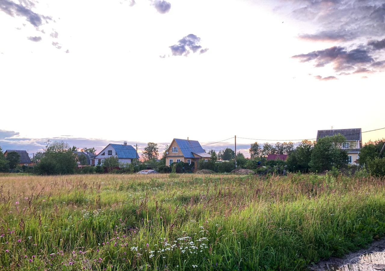 земля р-н Тосненский г Любань ул Садовая Любанское городское поселение фото 3