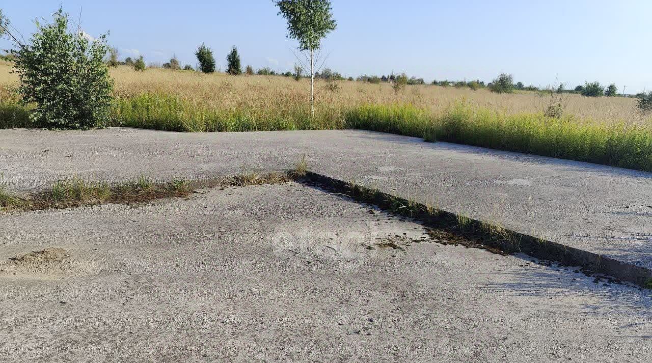 земля р-н Гурьевский п Голубево ул Смоленская фото 8