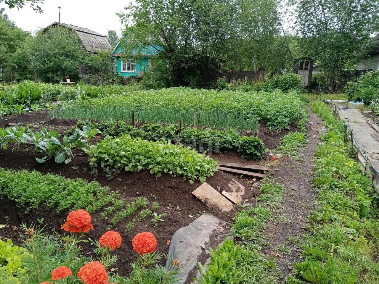 дом г Нижний Тагил р-н Ленинский снт им. Тимирязева фото 1