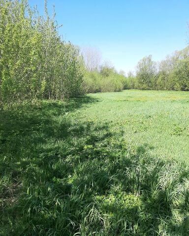 ул Садовая Хохольское городское поселение фото