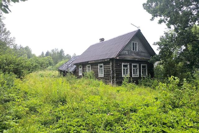 деревня Низовская фото