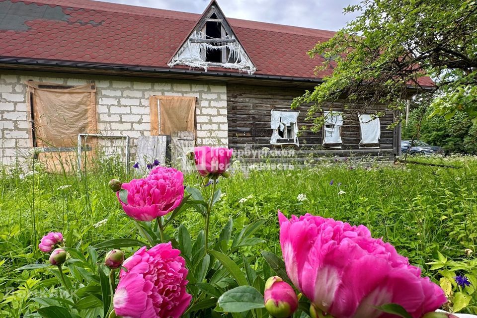 дом р-н Сланцевский деревня Кологриво фото 2