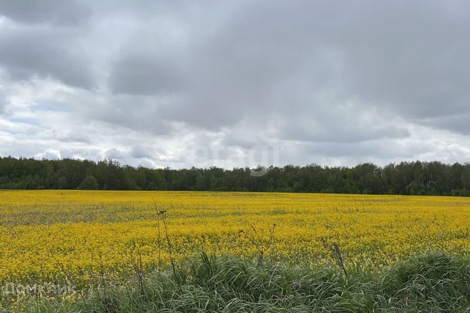 земля городской округ Раменский с Юсупово коттеджный посёлок Репино, городской округ Домодедово фото 8