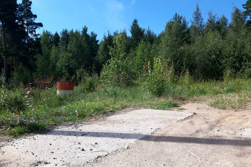 земля г Сосновый Бор Сосновоборский городской округ, ДНТ Ветеран фото 4