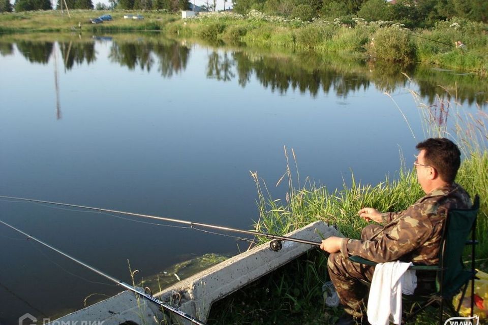 земля городской округ Шаховская ДНП Дорино-2 фото 10