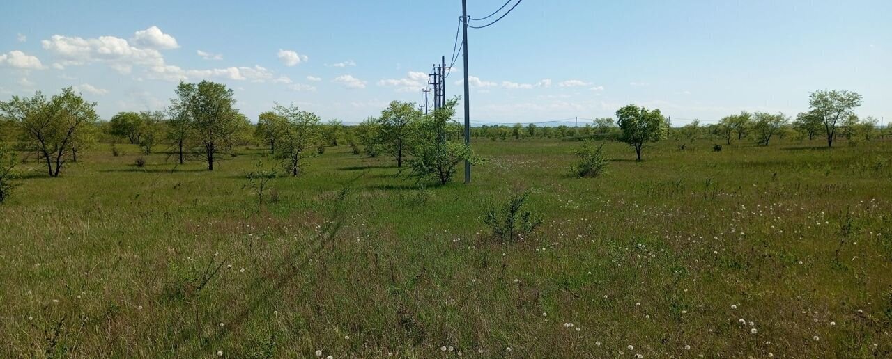 земля р-н Усть-Абаканский с Зеленое Черногорск фото 5