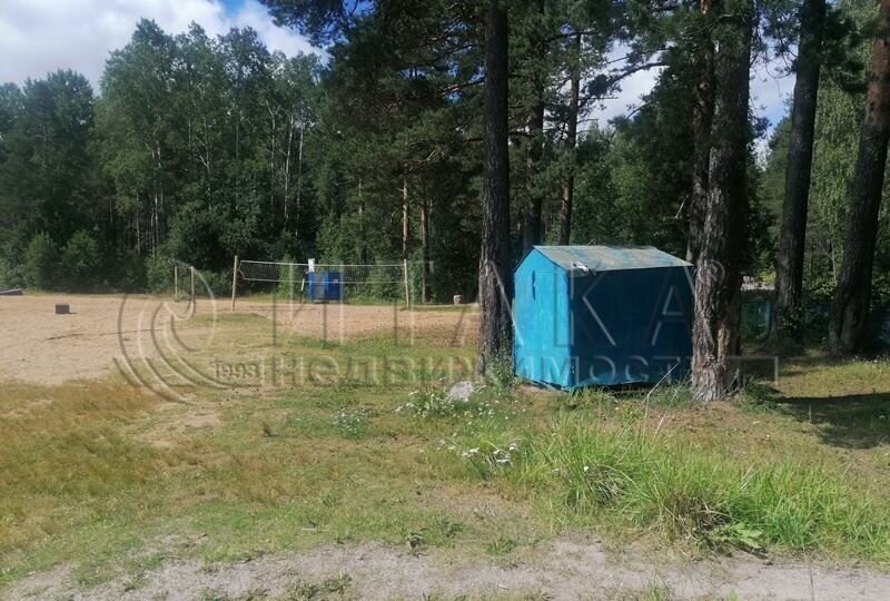 земля р-н Приозерский п Кузнечное Кузнечнинское городское поселение, садоводческое товарищество Алмаз, 1-я линия фото 4