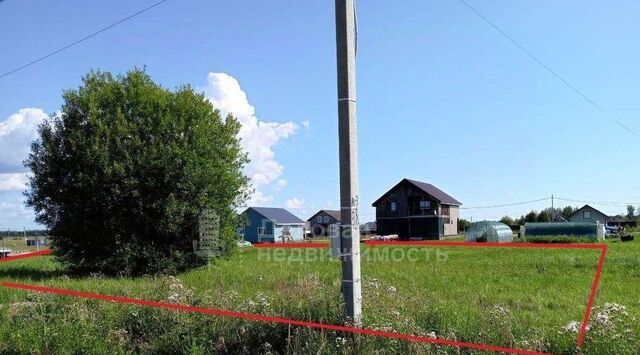 Шимское городское поселение, ул. Центральная, д. Бор фото