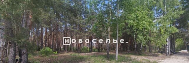 р-н Советский ул Дунай фото