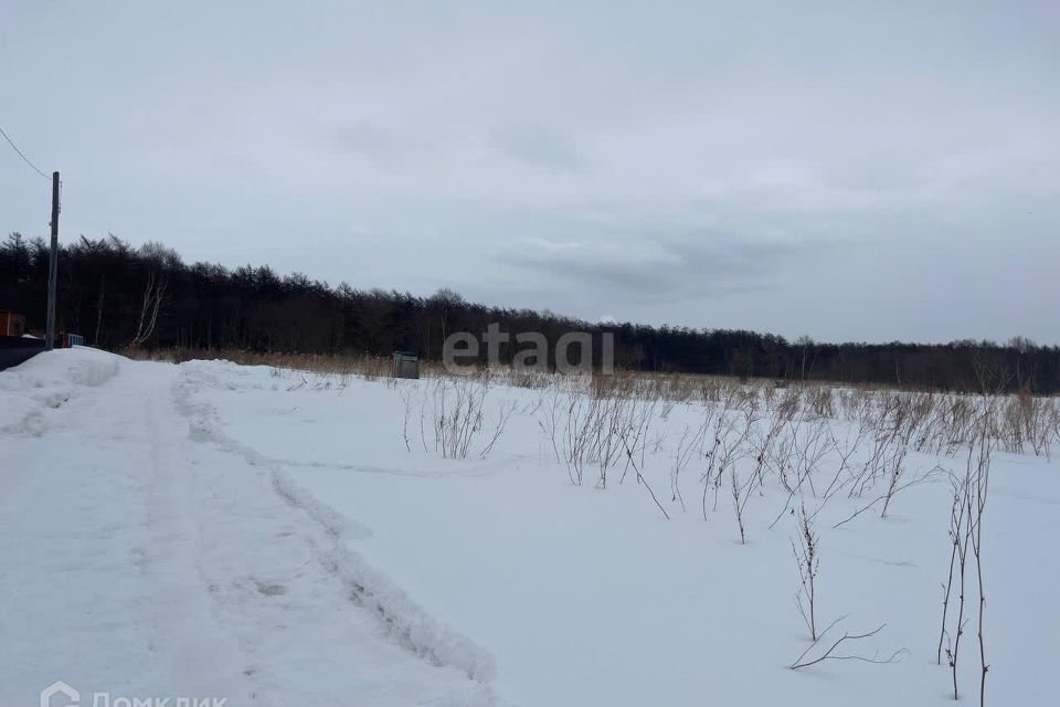 земля р-н Анивский село Воскресенское фото 4