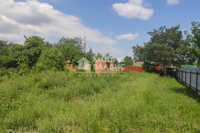 земля городской округ Омск, садоводческое некоммерческое товарищество Светлый фото