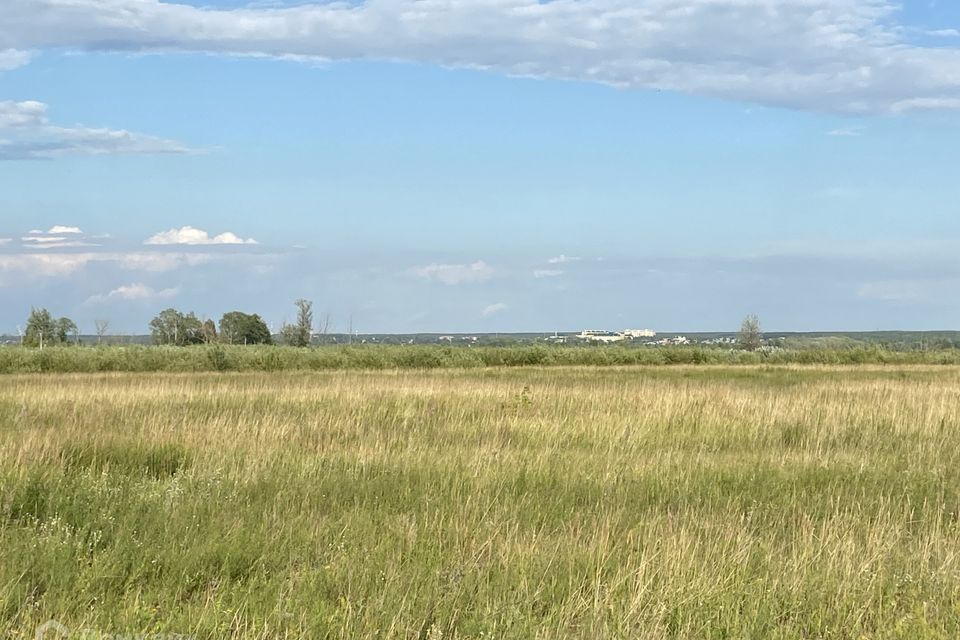 земля г Курган пл имени В.И. Ленина городской округ Курган фото 4