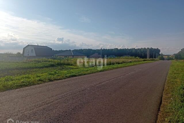 п Белоберёзовский ул Березовая фото