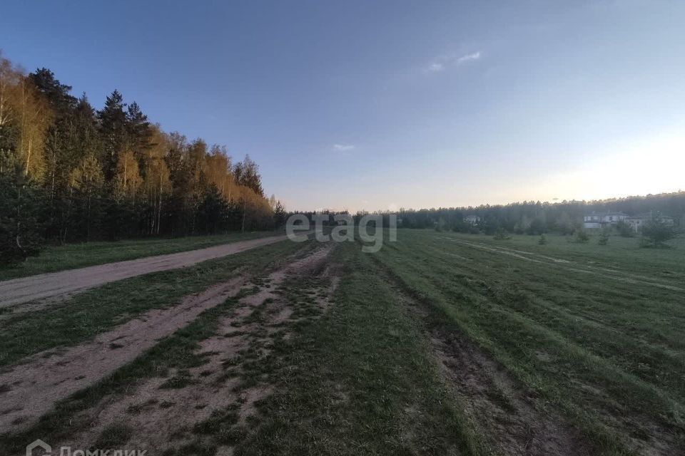 земля р-н Чебаркульский деревня Сарафаново фото 2