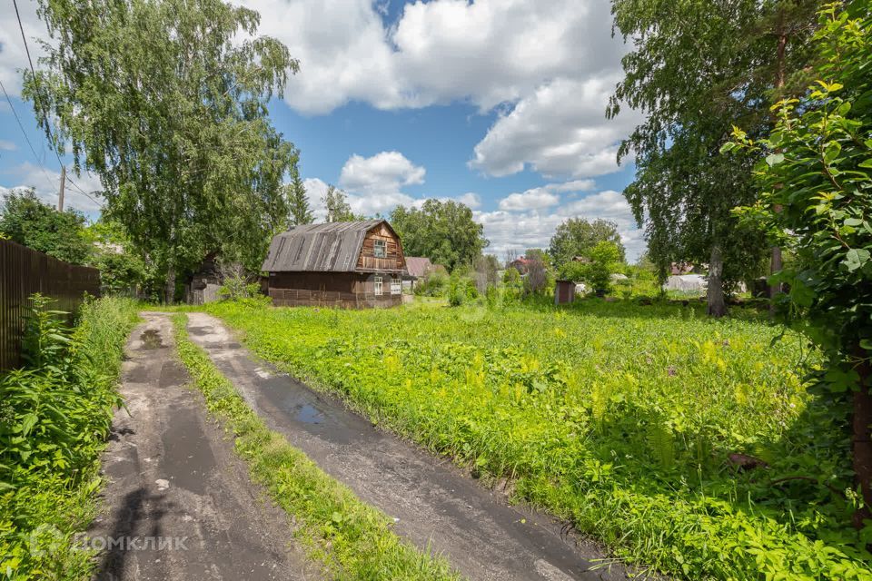 земля р-н Новосибирский снт Строитель Южная улица фото 7