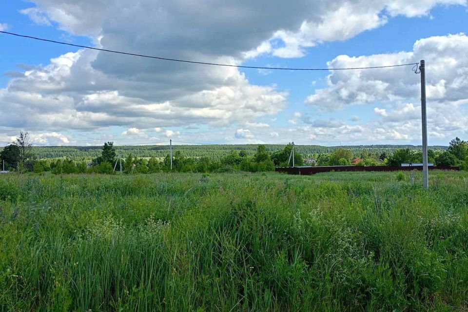 земля р-н Богородский деревня Касаниха фото 1