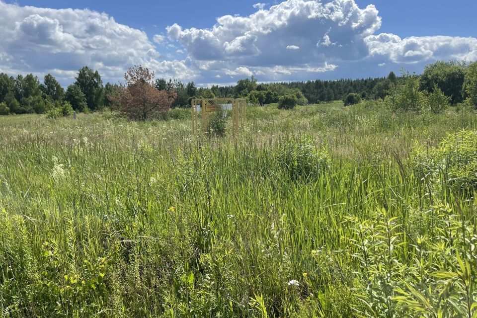 земля р-н Богородский деревня Касаниха фото 4