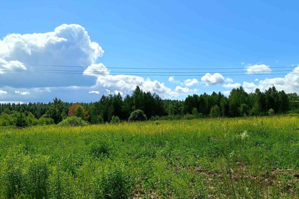 земля р-н Богородский деревня Касаниха фото 3