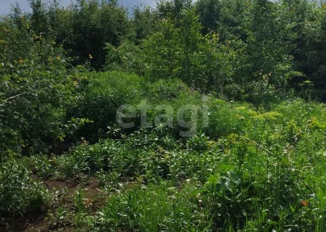 с Кунгурка городской округ Ревда, урочище Дегтяные фото