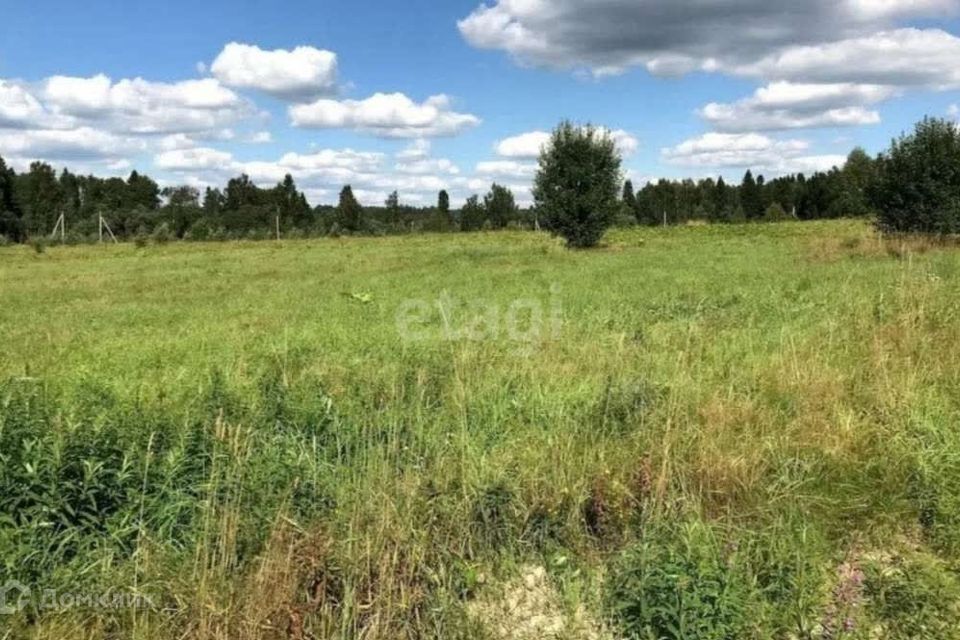 земля Полевской городской округ, деревня Раскуиха фото 1