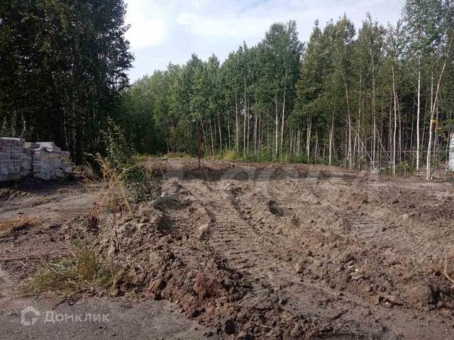 земля городской округ Тюмень фото