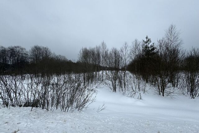 село Большое Каринское фото