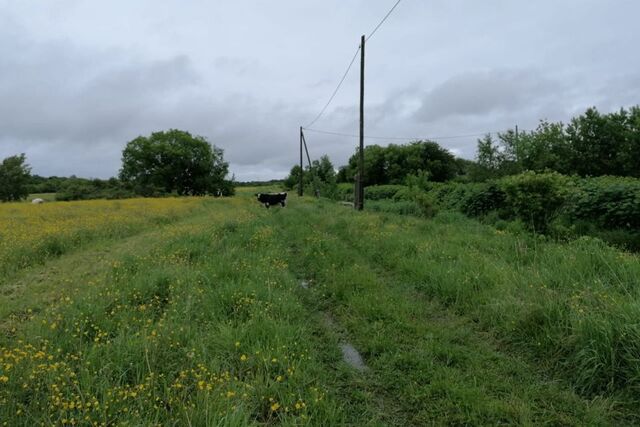 село Воскресенское фото