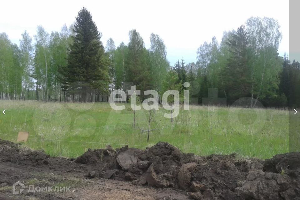 земля р-н Емельяновский посёлок городского типа Емельяново фото 3