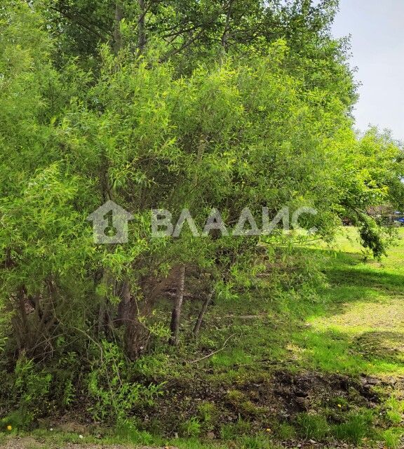 земля г Уссурийск с Глуховка ул Московская 9 Уссурийский городской округ фото 3