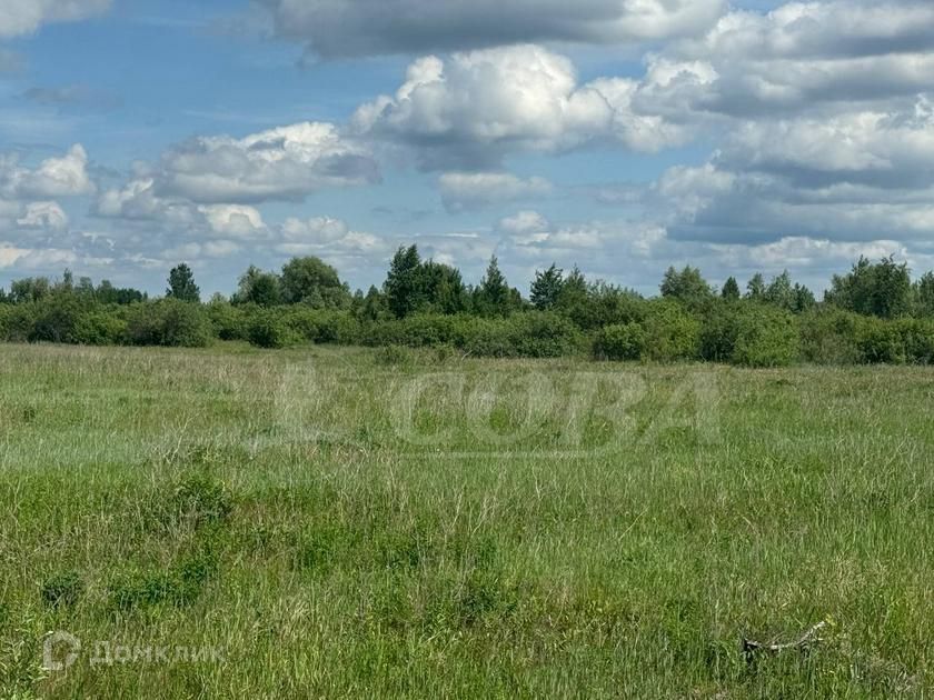 земля р-н Тюменский деревня Криводанова фото 2