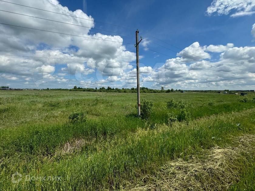 земля р-н Тюменский деревня Криводанова фото 3