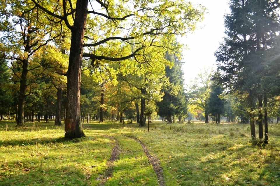 земля р-н Александровский Струнино фото 2