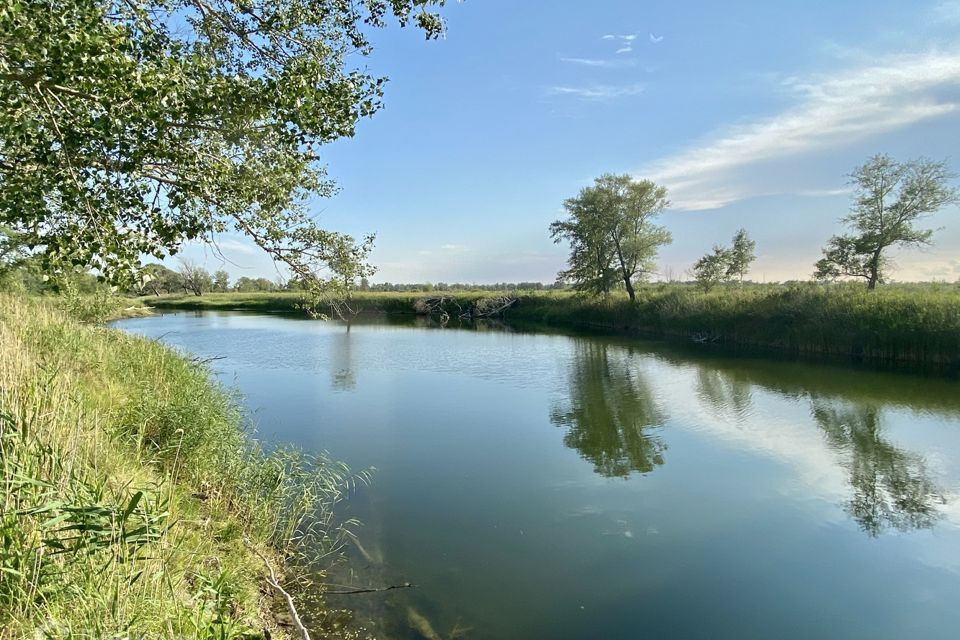 земля г Курган пл имени В.И. Ленина городской округ Курган фото 5