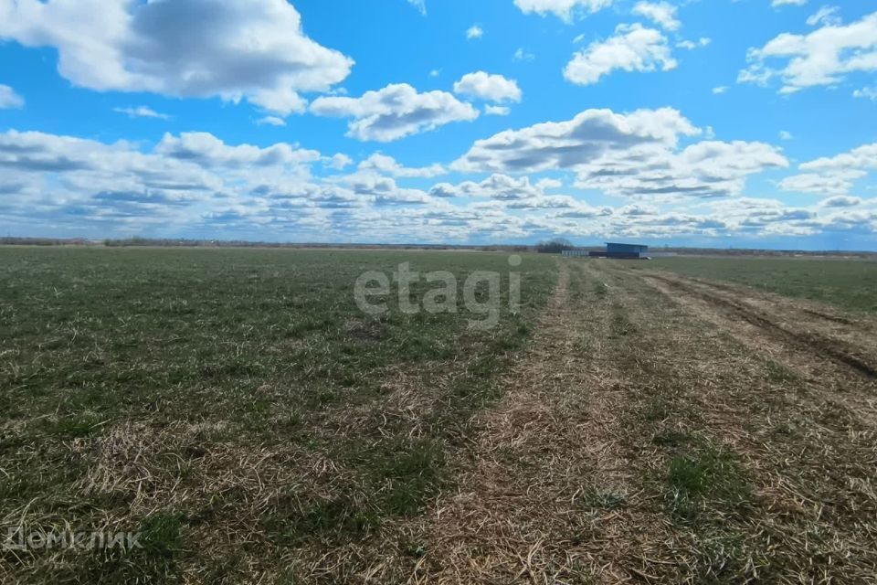 земля р-н Сыктывдинский муниципальное образование Выльгорт фото 5