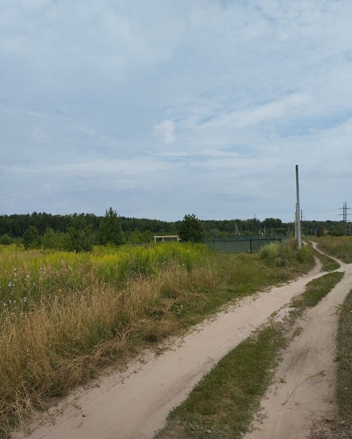 земля р-н Богородский д Демидово Богородск фото 3