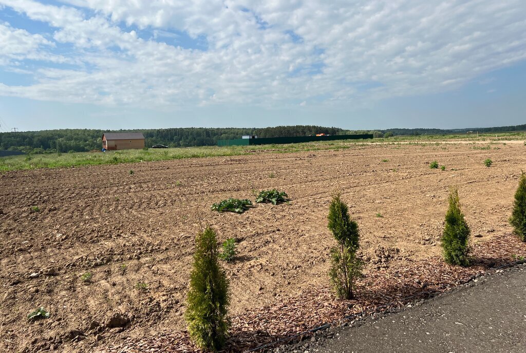 земля городской округ Домодедово с Успенское фото 23