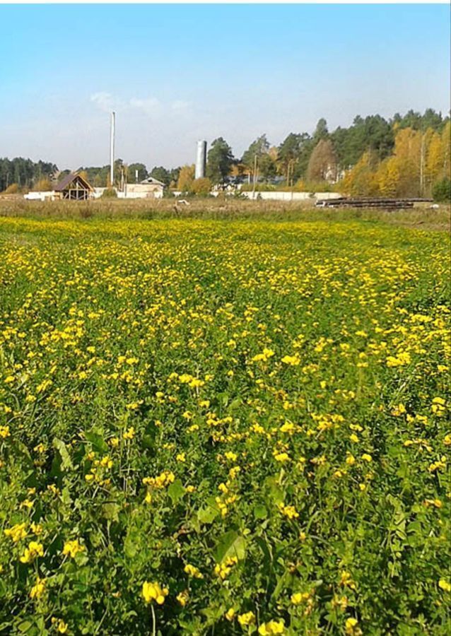 земля р-н Лямбирский д Приволье ул Гагарина 4 Лямбирь фото 1