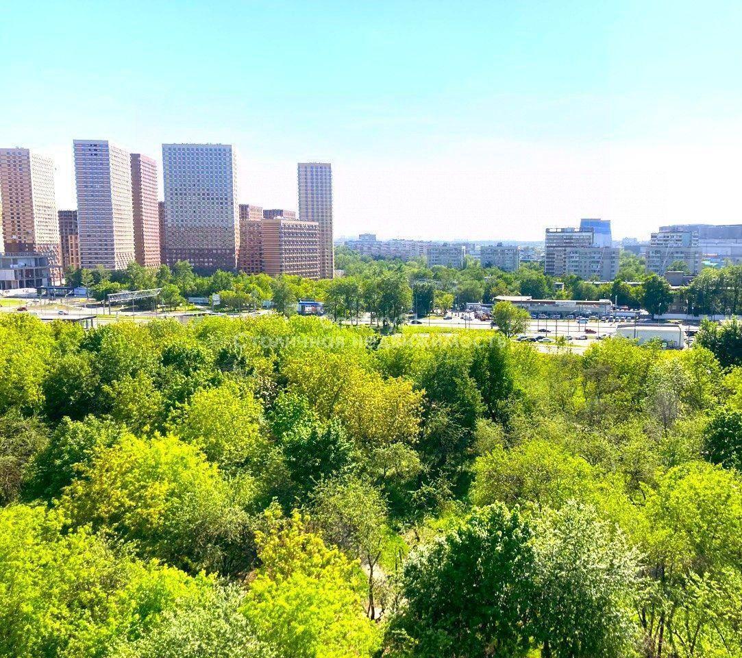 квартира г Москва ЗАО пр-кт Генерала Дорохова Московская область фото 15