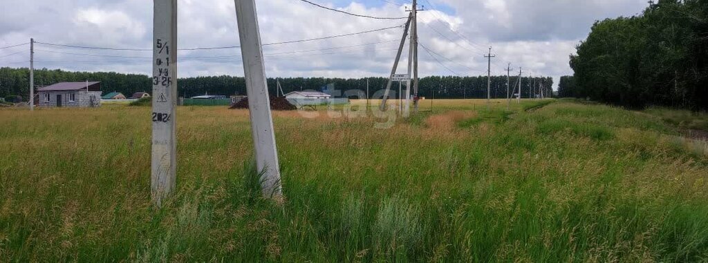 земля р-н Омский с Усть-Заостровка ул Березовая Усть-Заостровское сельское поселение фото 1