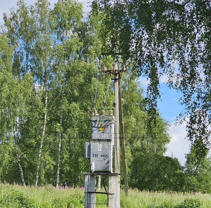 свободного назначения р-н Починковский Мурыгинское с/пос, Лосня СНТ, 7/1 фото 30