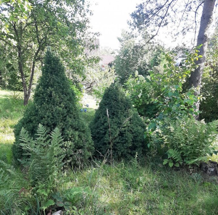 дом р-н Всеволожский снт Токсовское ул Радужная Токсовское городское поселение, Девяткино фото 21