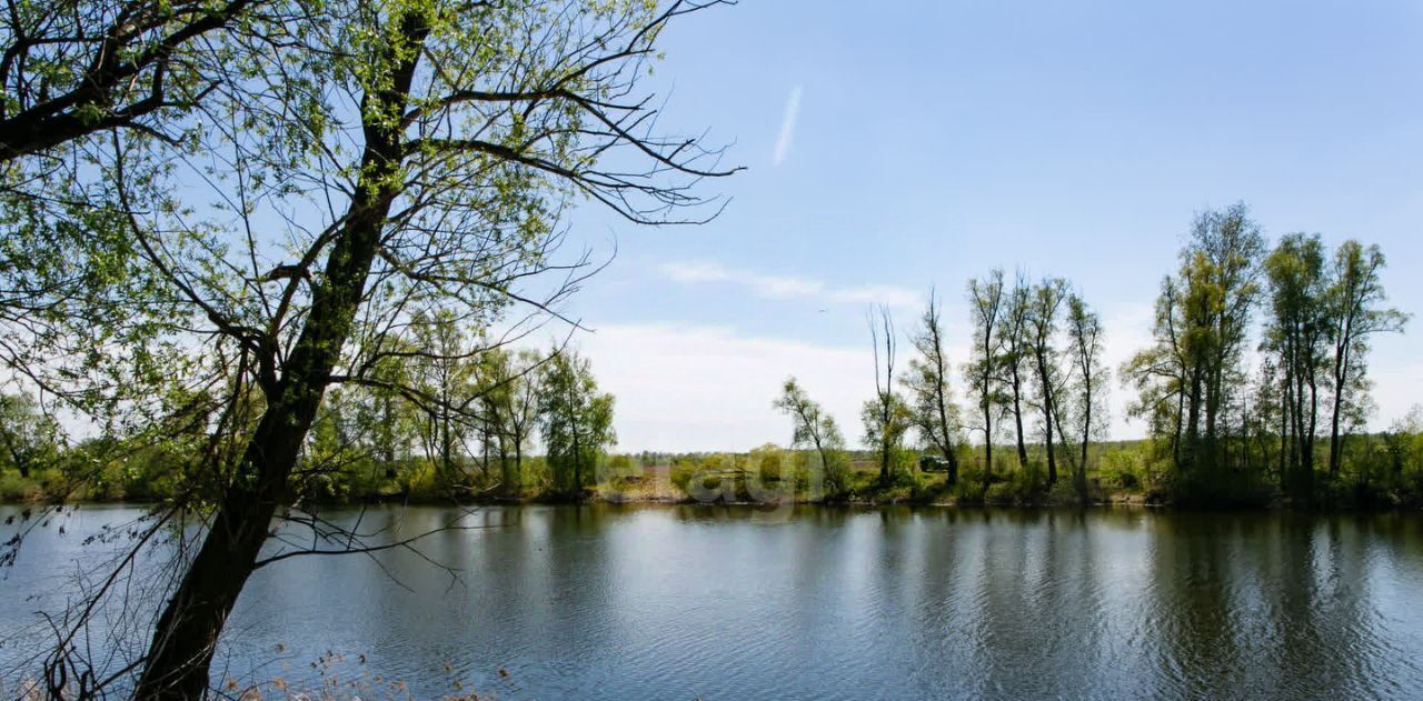 дом р-н Новосибирский Кудряшовский дп, ул. Береговая фото 17