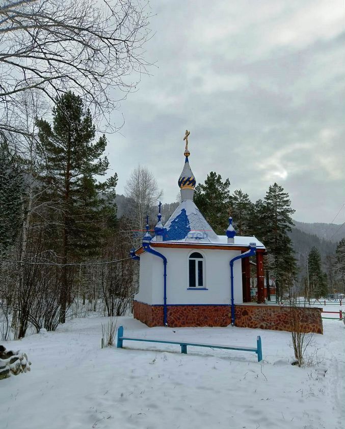 земля р-н Чемальский Элекмонарское сельское поселение, Горно-Алтайск фото 35