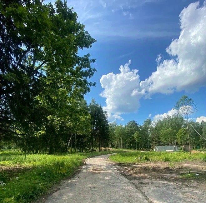 дом городской округ Наро-Фоминский п Александровка фото 7