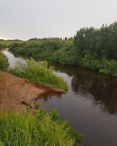 снт Ручеек-91 Грязовец фото