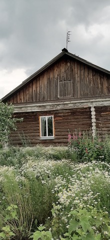 ул Центральная фото